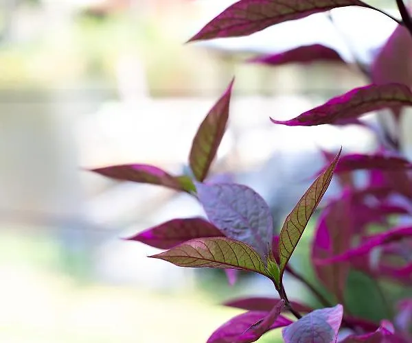 Holiday home Modern Retreat House @lake Talquin